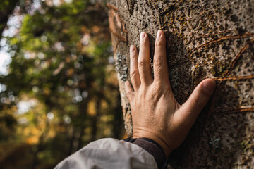 Hand touching a tree trunk in the forest - Human beings are concerned about nature and the...