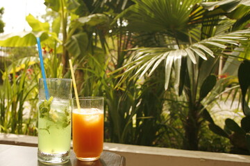 beautiful cooling drinks on the background of tropical plants