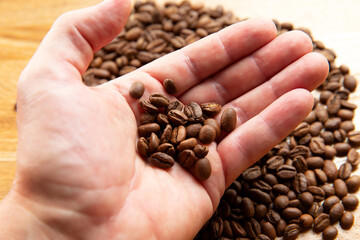 Coffee beans in hand. against the background of coffee beans.