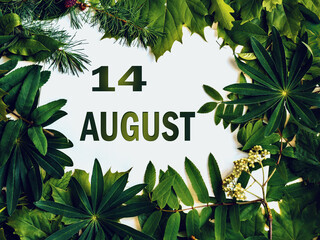 August 14, 14th day of month. Composition of natural green leaves with paper card. Summer month....