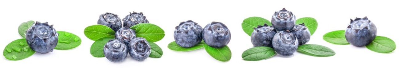 Collection of Blueberries isolated on white background