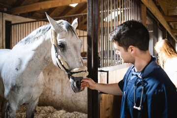 Vet checking horse's health before riding.