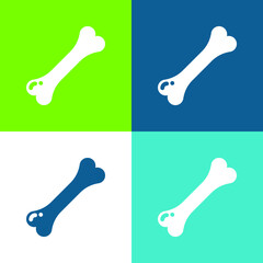 Fototapeta premium Bone Flat four color minimal icon set