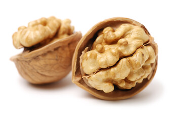 walnuts on a white background
