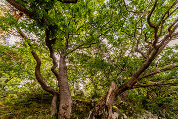 Landscapes and nature in Lake District