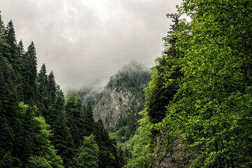 Fototapeta premium Foggy weather in the mountains