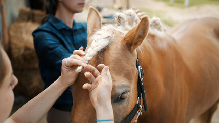 Close-up view of girl's hand braiding mane of a light brown horse with a blonde mane. Beautiful...