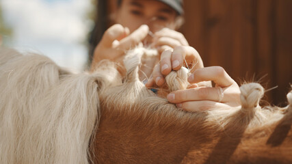 Close-up view of girls hands braiding blonde mane of a Palomino horse. Beautiful light brown horse...