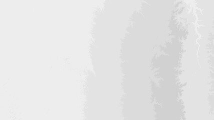 White Gray Wallpaper/Background