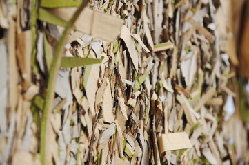 Almaty, Kazakhstan - 07.01.2016 : A pile of garbage and waste paper on the territory of a cardboard factory.