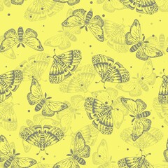 Yellow pattern from gray beautiful butterflies. Insects seamless pattern. Vector illustration