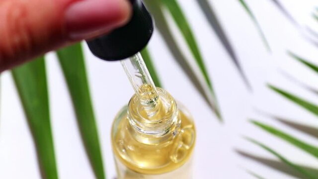 Serum oil is dripping from dropper close-up. Serum skin care product. Selective focus