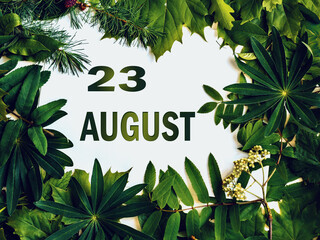 August 23, 23rd day of month. Composition of natural green leaves with paper card. Summer month. Concept of Day of Year