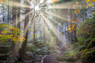 Elbsandsteingebirge  Herbst