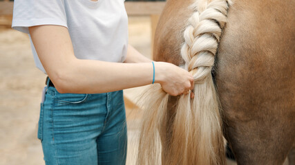 Girl braiding the blonde tail of her Palomino horse standing outside the stable. Female horse owner...