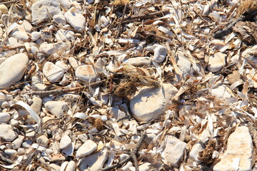 Pattern of old leaves and rocks.