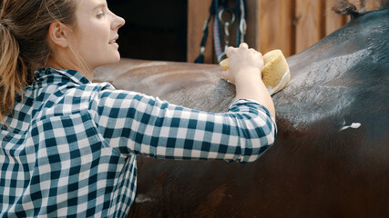 Horsewoman giving a bath to her dark bay horse in the stable. Gently rubbing the horseback with a...