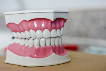 tooth model on a clean background