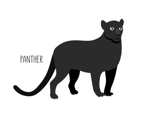 Panther is a wild cat. Title. Vector flat illustration of animal isolated on white background.