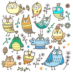 Fotobehang Set with cute cartoon owls. Funny animals collection. Doodle birds print. Vector herbs  poster. © voron4ihina