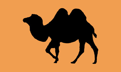 Camel icon. animals sign. vector illustration.