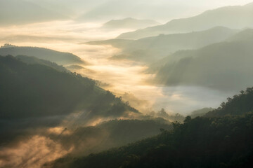 Obraz premium morning view of mountains Sun and mist in the tropical forest