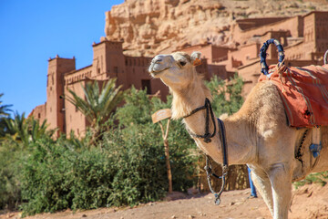 Ait ben haddou