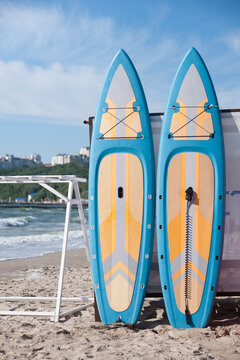 wakeboard on a sea beach on a bright sunny day