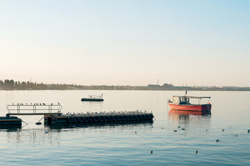Pier with a bunch of seagulls on the background of a red fishing boat.