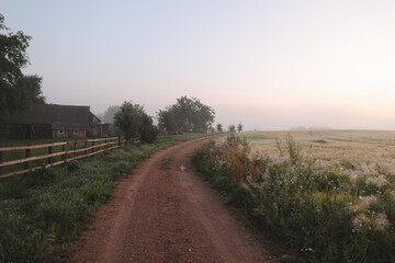 Fototapeta na wymiar atmospheric misty meadow field and summer landscape at sunrise 