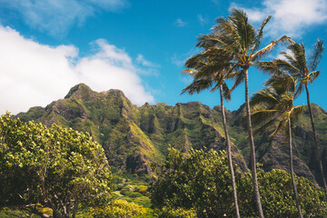 Fototapeta na wymiar Mountains in Hawaii