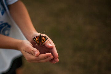 Butterfly landing on kids hands