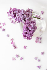 a vase of water with lilac flowers floating in it