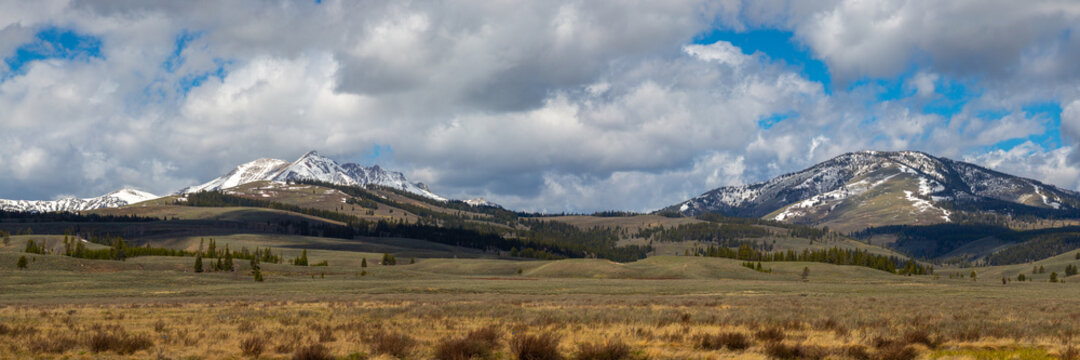 Yellowstone Panoramic Images, Wyoming, USA.