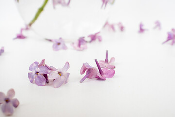 The beautiful lilac on a wooden background