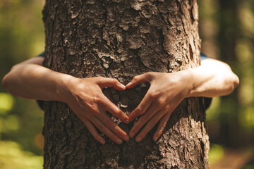 Hug with a tree and make a heart with your hands. Caring for and unity with nature. - obrazy, fototapety, plakaty