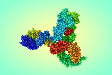 Space-filling molecular model of the intact human immunoglobulin on colorful background. Rendering based on protein data bank entry 1hzh. Rainbow coloring from N to C. 3d illustration