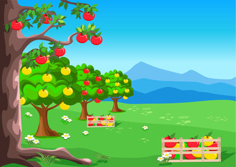 Obraz na płótnie Canvas Apple tree with ripe apples in the garden against the blue sky. Harvesting apples. Harvest celebration. Thanksgiving Day. Vector illustration.