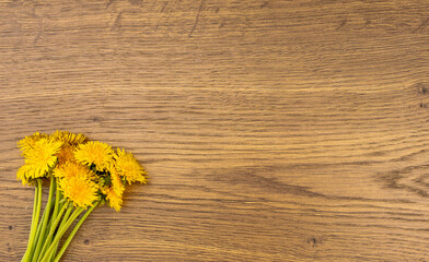 Bouquet of fresh yellow dandelions lying on a wooden light background. Dandelions close-up. Texture floral. Spring bouquet