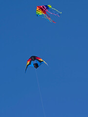 Isolated rainbow color kite flying in the blue sky