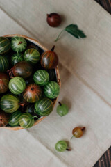 Gooseberries, currants on a plate. Berries. Summer