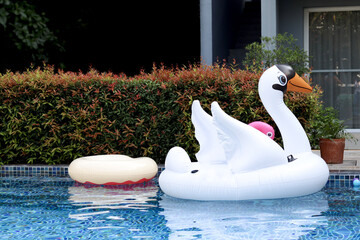 Inflatable white swan plastic toys floating on blue water in the swimming pool, relaxation and fun on summer vacation © Stella