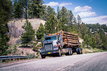 _Loaded log truck parked beside highway on steep incline surrounded by pine forests.