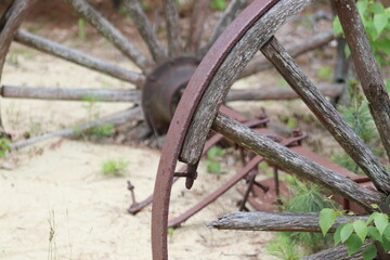 Old Part of Horse Drawn Wagon Wheel Rusty Antique Abandoned  in Desert with Overgrowth