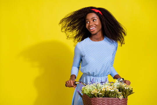 Photo portrait of curly girl in dotted blue dress riding bike with flowers basket looking copyspace isolated vivid yellow color background