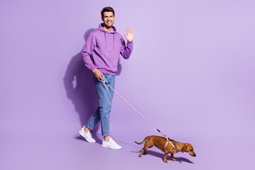 Full length body size view of attractive cheerful guy walking puppy waving hello isolated over...