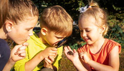 Children have caught a frog in the garden and are studying it through a magnifying glass.