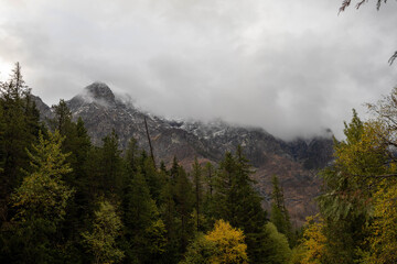 fog in the mountains