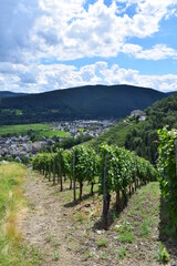 Fototapeta na wymiar Blick durch die Weinberge auf Bad Neuenahr-Ahrweiler