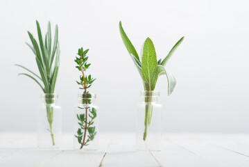 lavender, thyme and sage fresh herbal leaves in mini glass bottles, white wood table background